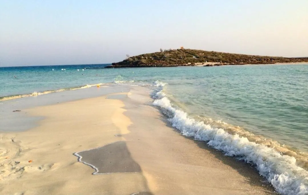 Nissi Golden Sand Lovely One Bedroom Apartment With Spacious Terrace And Free Parking Ayia Napa