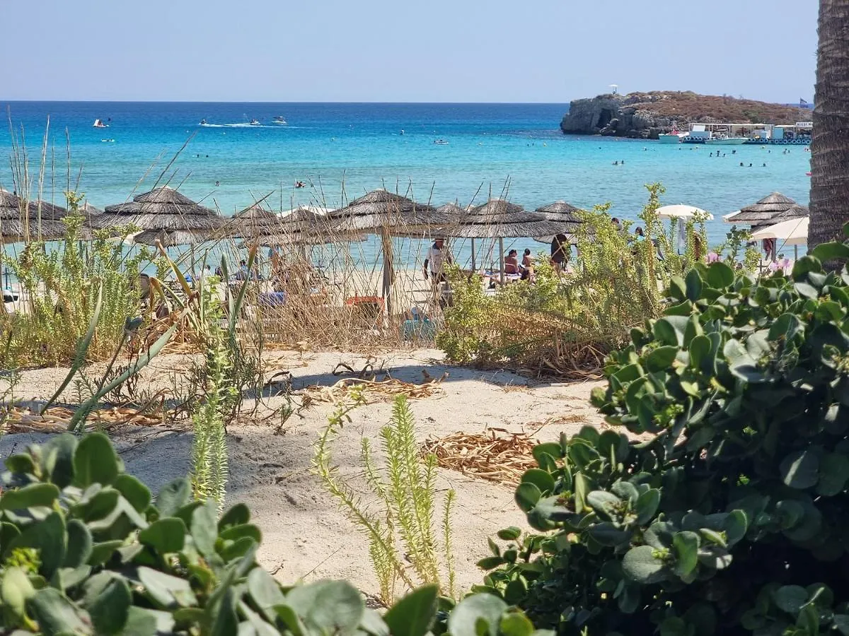 Nissi Golden Sand Lovely One Bedroom Apartment With Spacious Terrace And Free Parking Ayia Napa Cypern